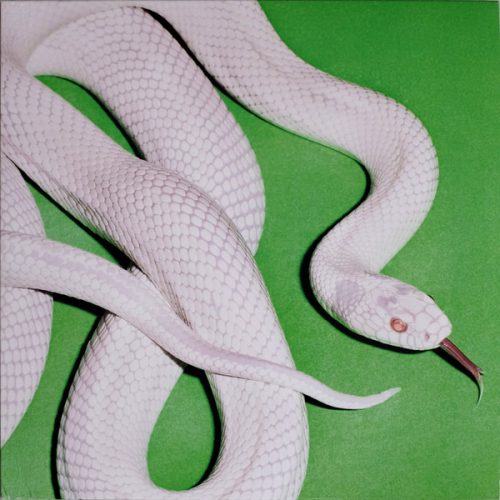 Deftones – Private Music (2025 Vinyl Edition)